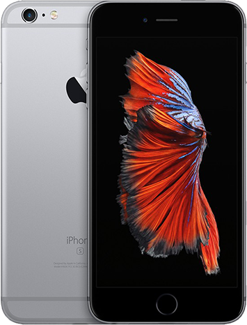 Ремонт Замена камеры iPhone 6S Plus